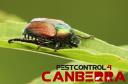 Beetle Control Canberra logo